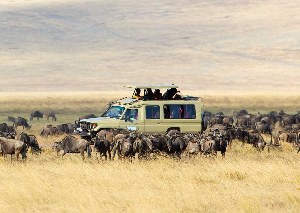 Serengeti National Park, Tanzania on MixmaTravel