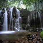 landscape, a small waterfall, natural, beech forest, fog, nature, plant, water flow, moss, rock, hyogo prefecture, japan