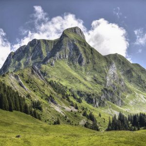 The Role of AI in Tourism Marketing