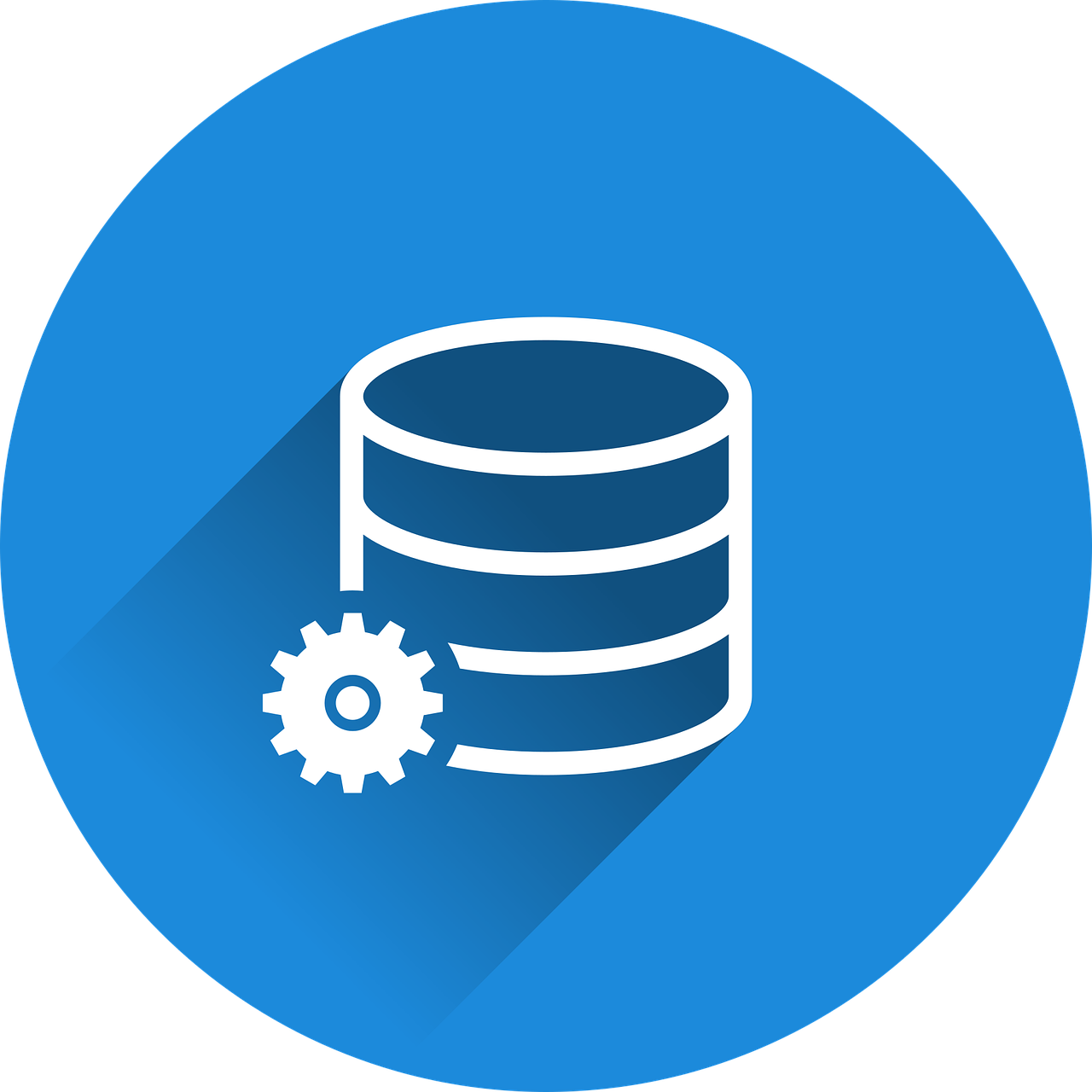 database, manage, administer, management, database, database, database, database, database